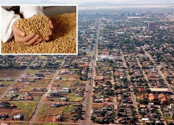 Sorriso: liderança na produção agropecuária
