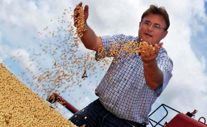 eraí maggi.jpg