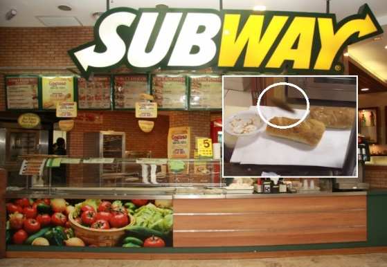 Cliente flagra barata passeando em balcão de ingredientes do Subway