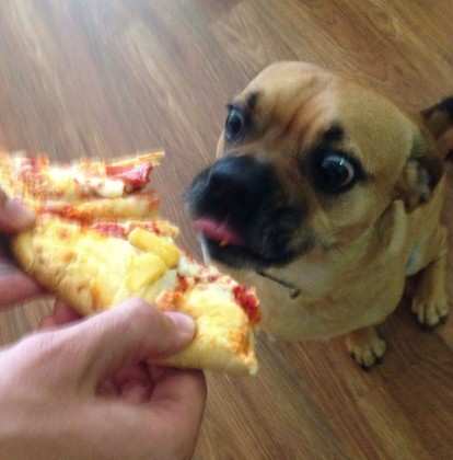 cao-pizza.jpg
