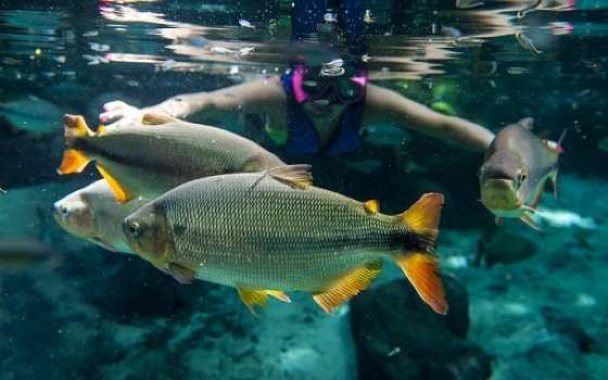 Paraíso ecológico atrái turistas para MT