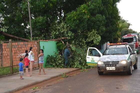 Um mutirão foi realizado assim que a chuva passou e continuam os trabalhos ainda nesta quinta-feira (05) 