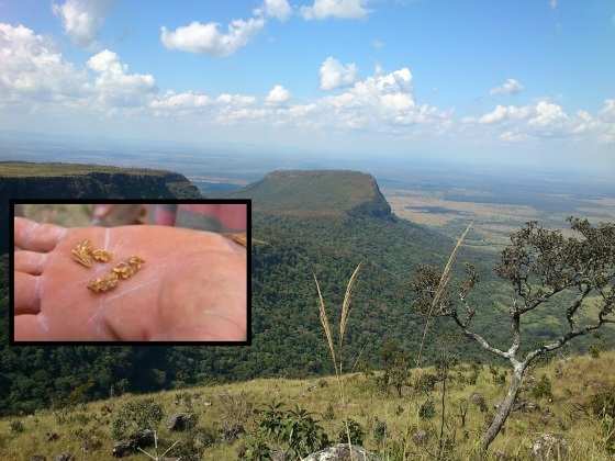 O Parque fica em Vila Bela e é um dos espaços mais ricos em biodiversidade de MT
