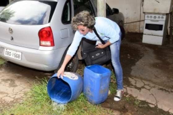 Pedra 90 tem arrastão contra a dengue