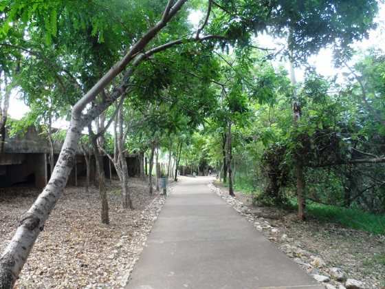 A nascente do Córrego do Barbado se encontra dentro do Parque Massairo Okamura, na Morada do Ouro. 