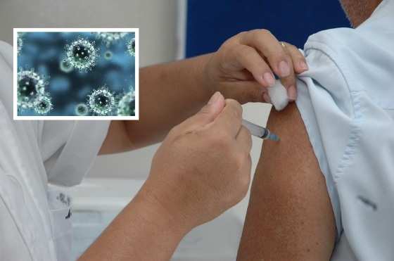Há dois tipos de vacina conta a H1N1: a trivalente e a tetravalente.