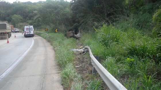 Caminhão carregado de farelo de ração acabou tombando no mato.