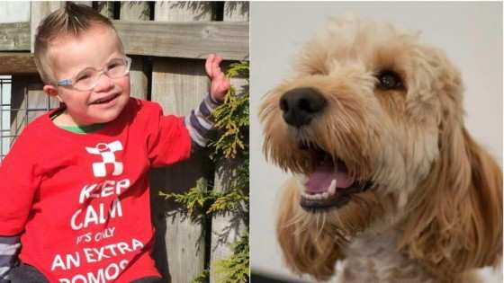 O menino Riley, de 5 anos, foi salvo pelo cachorro Teddy  