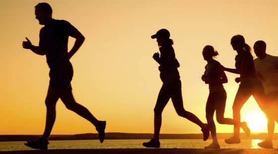 Exercício físico elimina proteínas tóxicas e ajuda na disfunção muscular.