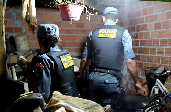 Homem estava escondido em cima de uma árvore na casa da avó.