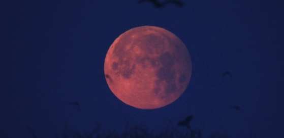 A Lua começará a apresentar uma coloração avermelhada, chamada de “Superlua de Sangue”.