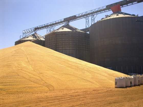 Mato Grosso é um dos maiores produtores de grãos do mundo