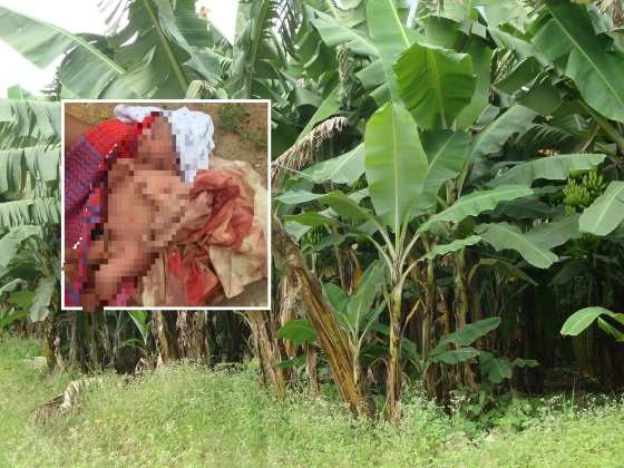 O bebê foi encontrado no último dia 13 de abril, em um bananal na zona rural do município