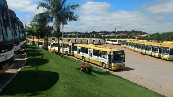 Cuiabá conta hoje com uma frota de 389 veículos rodando e 80 carros reserva, mas somente metade do veículos estarão nas ruas.