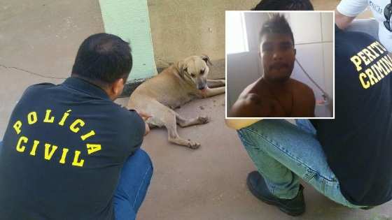 Hermerson Fernandes foi preso após divulgar vídeo de sexo com cadela.
