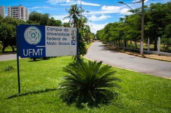 Os dois macacos foram encontrados no campus da UFMT de Cuiabá.