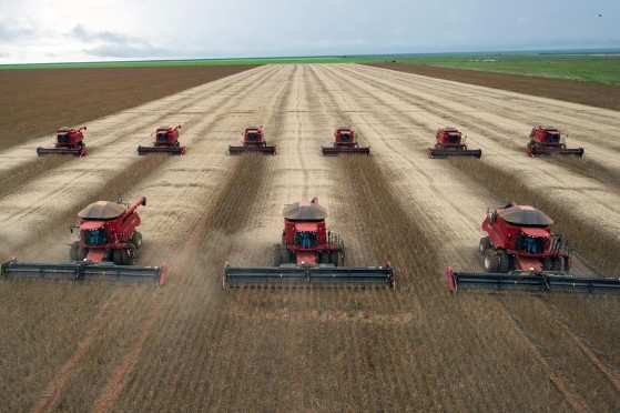 Agronegócio movimenta a economia do mundo.