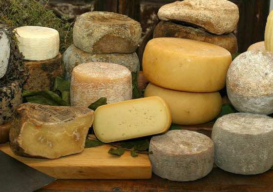 Gordura do queijo não é tão ruim e ainda melhora colesterol, diz estudo