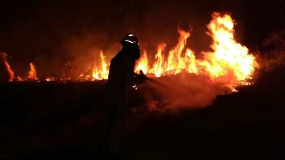 Incêndio devastou mais de 600 hectares da reserva Nascentes do Rio Paraguai.