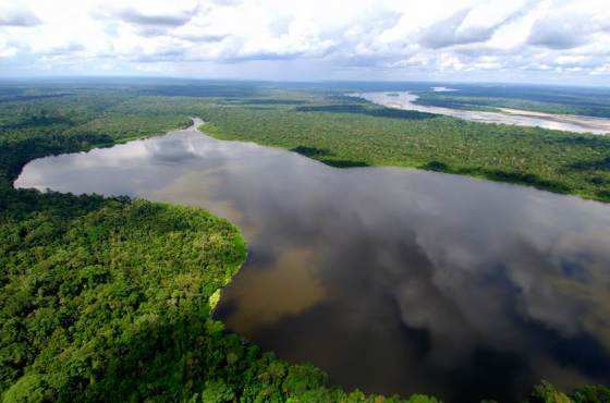 Ao todo, 85% do desmatamento da Amazônia em Mato Grosso é ilegal.