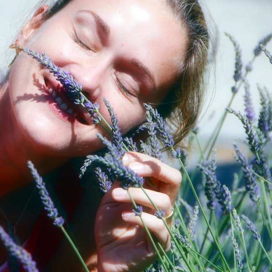 Você pode pingar algumas gotas de lavanda em um lenço limpo ou na fronha do travesseiro, para uma noite de sono tranquila