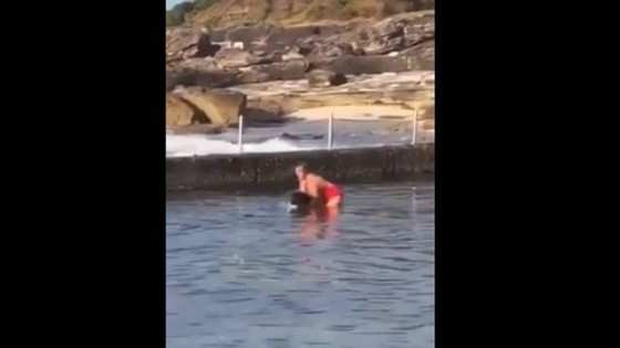 Australiana pegou tubarão com as mãos