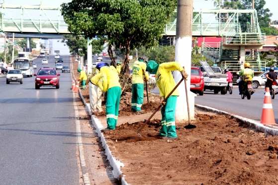 Os canteiros da Avenida do CPA e Fernando Corrêa da Costa serão revitalizados pela Prefeitura.