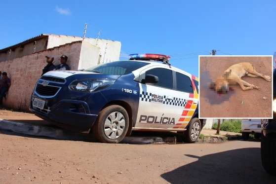 A Polícia Militar foi até o local e prendeu o agressor por maus-tratos.