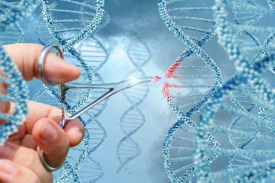 O motivo de tanta esperança reside em uma tecnologia revolucionária conhecida como Crisper (CRISPR-Cas9, na sigla em inglês)