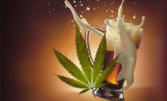 A diminuição do volume de massa cinzenta e massa branca entre pessoas que consumiam bebidas alcoólicas era maior, mas não entre os usuários de cannabis