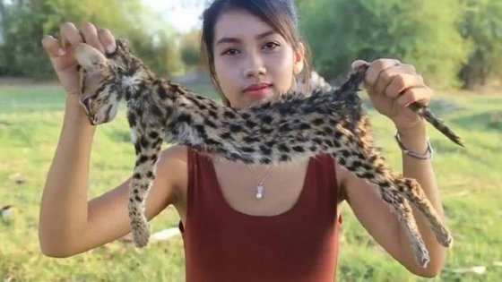 Ah Lin Tuch e um gato ameaçado de extinção