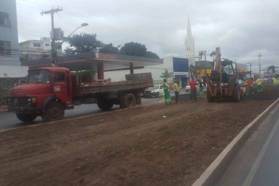 Prefeitura de Cuiabá iniciou os trabalhos para plantar palmeiras imperiais na Prainha.