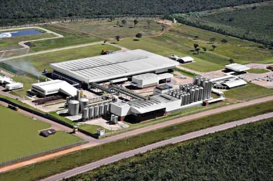 O grupo Petrópolis é fabricante das cervejas Itaipava e Crystal.