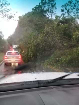 Até o início da noite desta terça-feira (30) a Estrada de Chapada seguia bloqueada por causa da queda de uma árvore.
