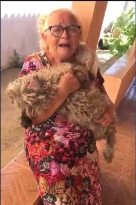 No vídeo publicado pela neta da dona, a cadela aparece sem sinais de vida no colo da idosa