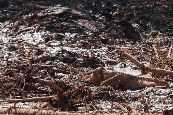 Brumadinho está entre os maiores vazamentos no planeta nesta década.