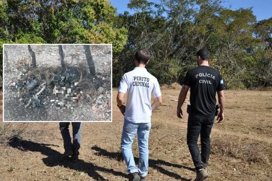 Os restos mortais foram encontrados por um morador da região.