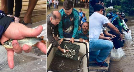 Projeto Peixamento chega a 3ª edição em 2020.