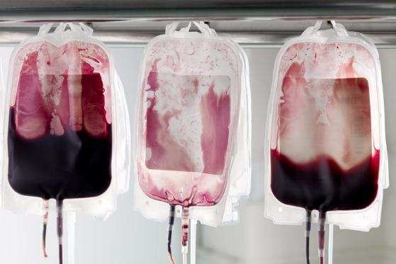  Usando uma bactéria encontrada no intestino humano, os cientistas conseguiram transformar uma amostra de sangue A em doador universal