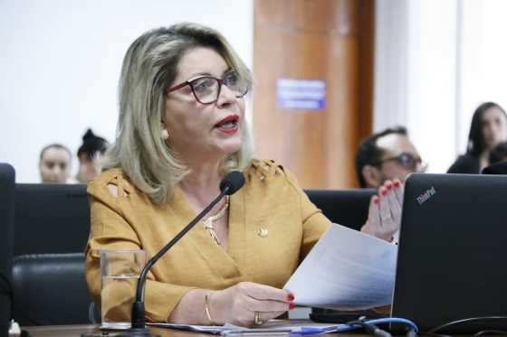 SELMA ARRUDA é juíza aposentada e senadora da República por Mato Grosso