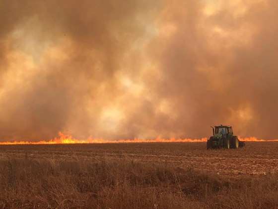 Incêndio de grande proporções atinge fazendas no interior.