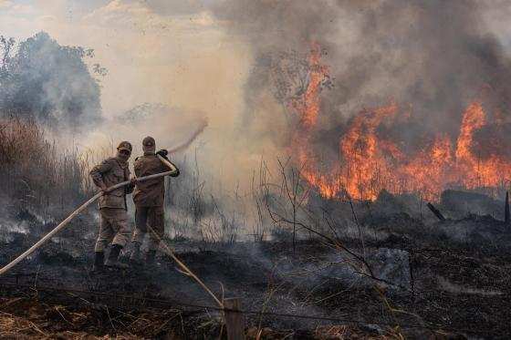 Monitoramento e combate ao Incêndio na região de Sorriso no Norte do Estado.
