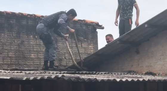 Militares capturaram o bicho no telhado da casa.