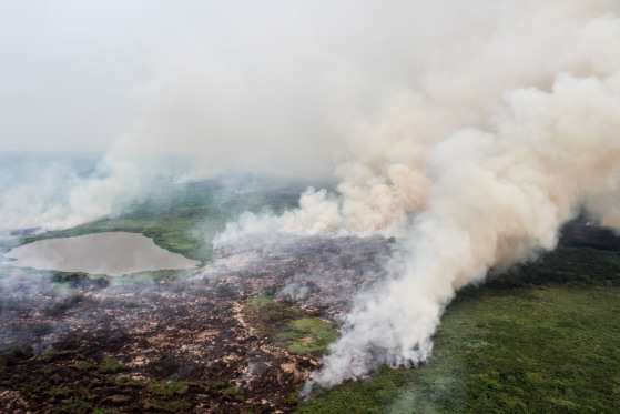Há semanas o Pantanal está em chamas.