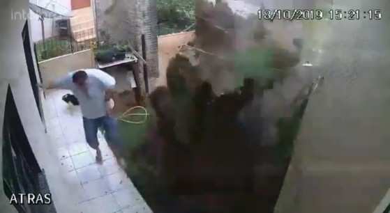 Homem explode quintal de casa ao tentar matar baratas com veneno, gasolina e fogo