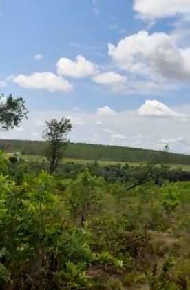 O caso foi registrado no povoado Catingueiro, onde Geovane morava.