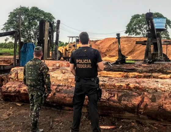 Operação da Polícia Federal ocorre desde o início desta quarta-feira.