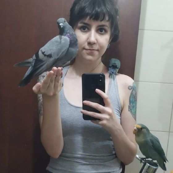 'Fui xingada, chamada de porca. Fiquei assustada com essa reação', diz Anna Carolina, sobre os comentários em seu post sobre o pombo que resgatou