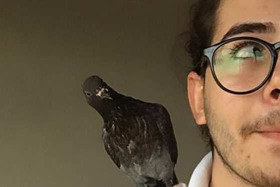 Jurema não quis ir e decidiu ficar com Henrique.