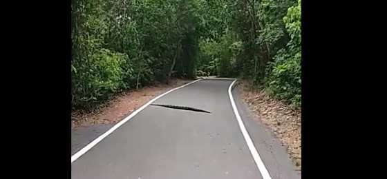 Imagen foi feita na manhã desta segunda-feira.